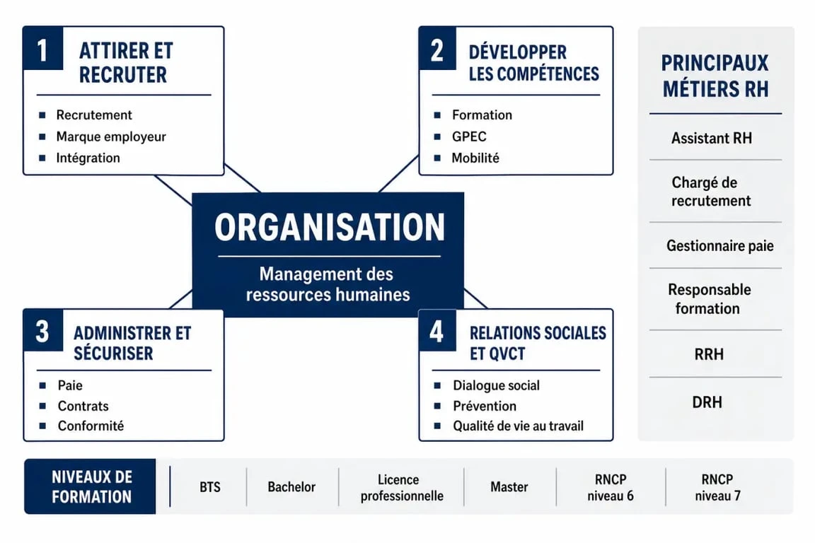 Management des ressources humaines : schéma des 4 grands domaines, métiers RH et formations